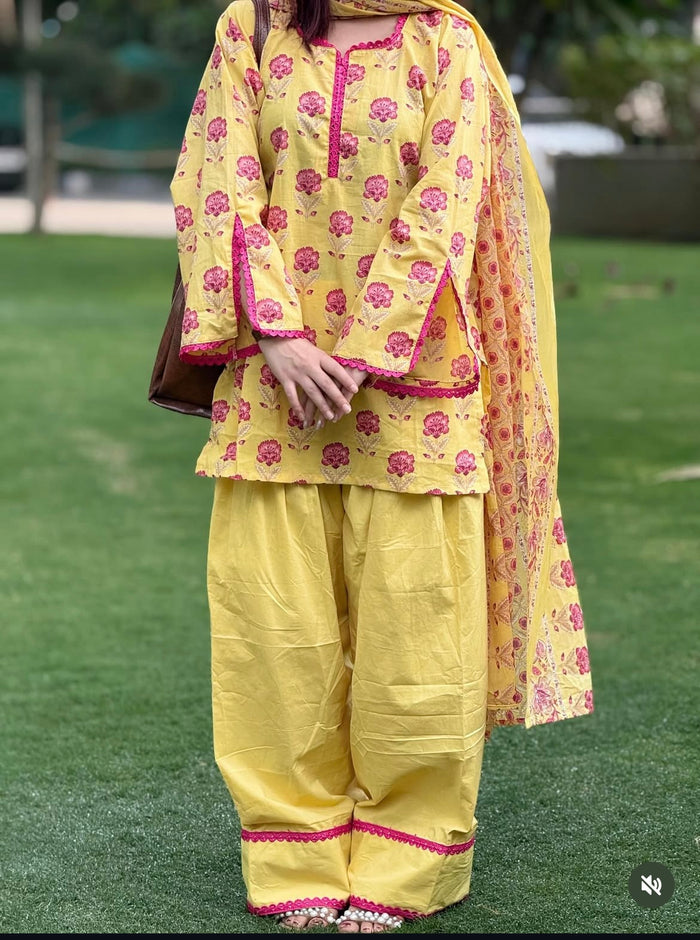 Roshni 3pcs