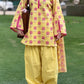 Roshni 3pcs